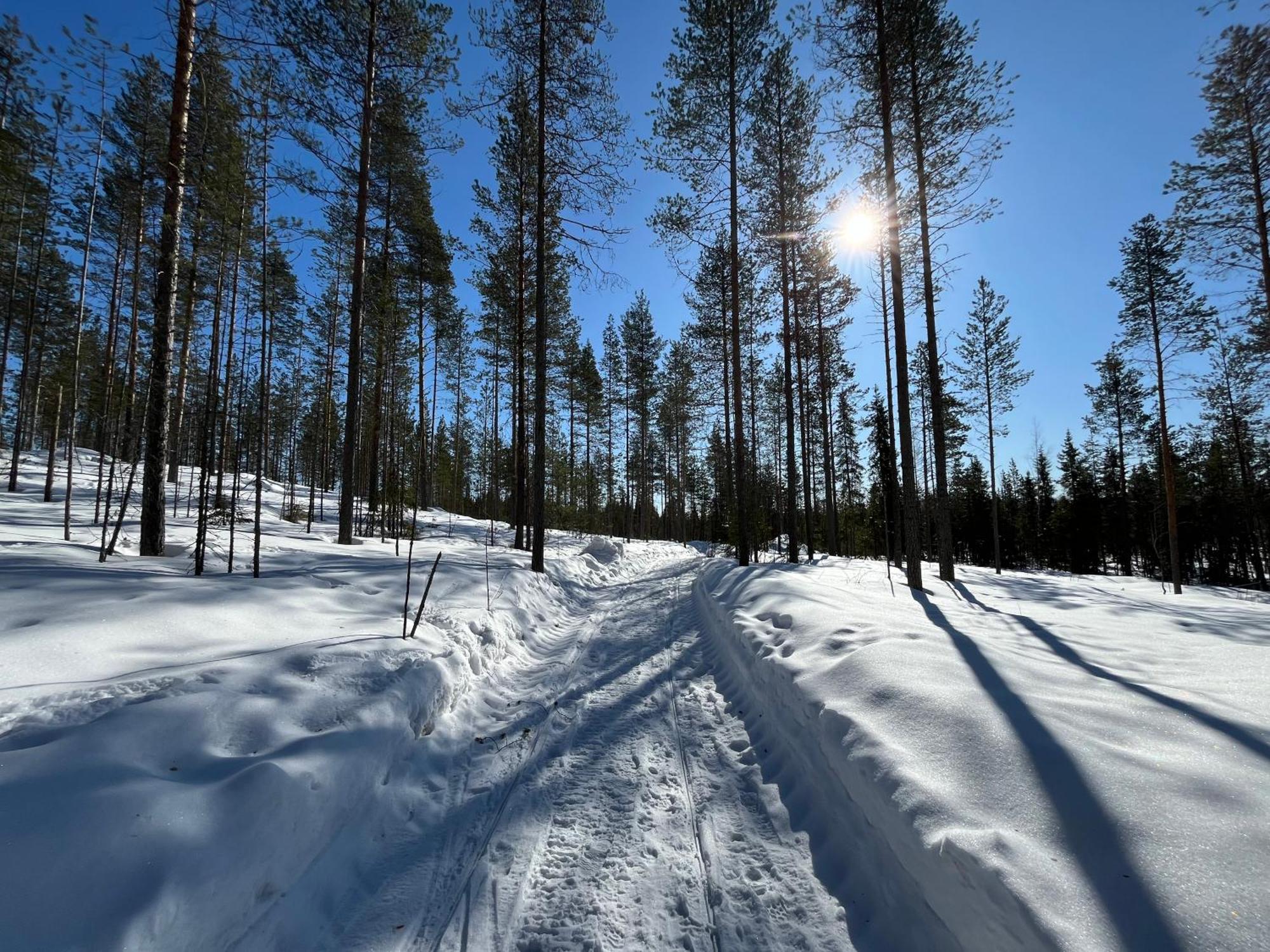 Log Cottages In 10 Min From Santa Claus Village-Sauna&Freeparking โรวานิเอมิ ภายนอก รูปภาพ